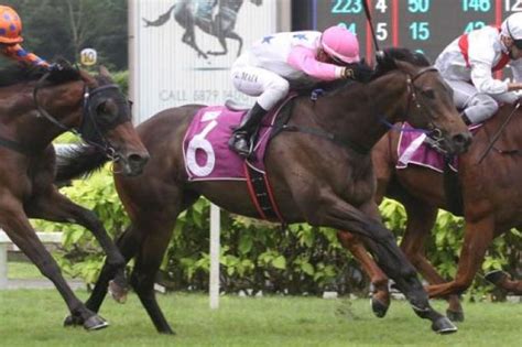 Boomba stands out over Class 4 rivals, Latest Racing News - The New Paper