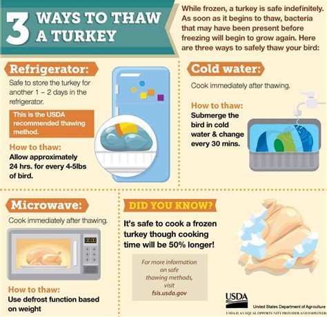 How to Safety Thaw a Turkey — Cool Infographics