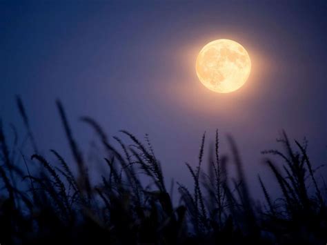 Rare Harvest Moon Will Appear on Friday, Sept. 13 | WBIW