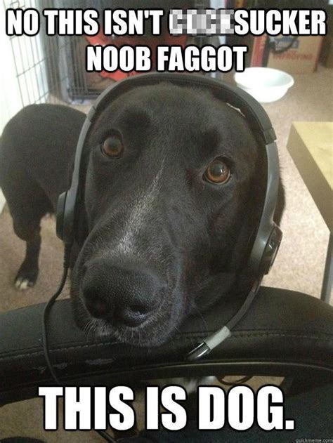 Dog listening to music meme - nipodwonder