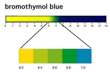 Bromothymol blue ~ Detailed Information | Photos | Videos