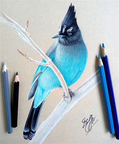 How To Draw A Realistic Bird