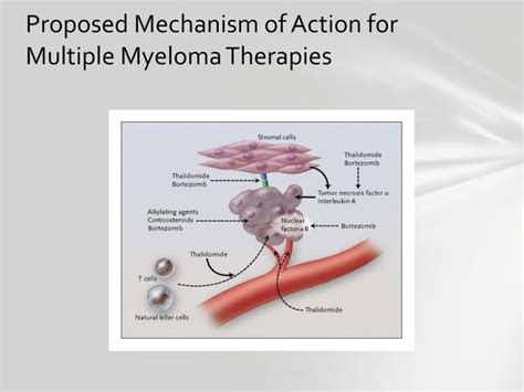 Plasma cell disorders ppt | PPT