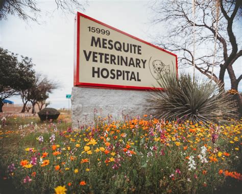 Photo Gallery - Mesquite Veterinary Hospital