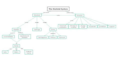 Biology Concept Map Complete Guide with 30+ Examples | EdrawMind