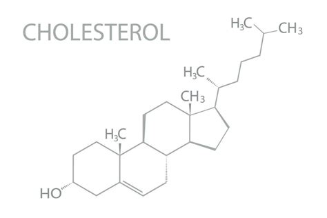 Cholesterol molecular skeletal chemical formula 36465244 Vector Art at ...