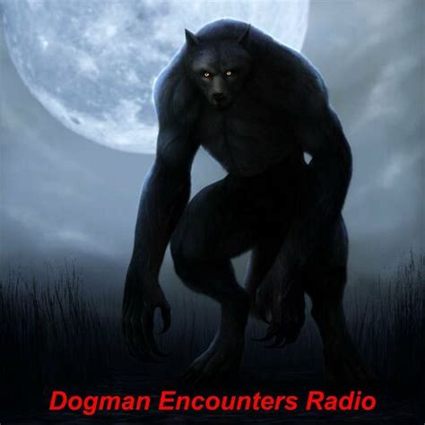 Listen to Dogman Encounters Radio podcast | Deezer