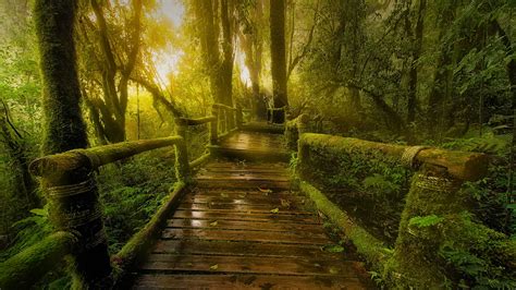 Ang Ka Luang nature hiking trail at Doi Inthanao National Park, Mae ...