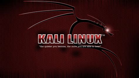 Kali Linux logo, Kali Linux HD wallpaper | Wallpaper Flare