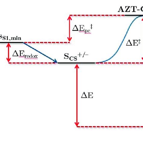 Scheme of the processes that take place during the ring-opening ...