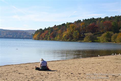 The Lake Beach of Glimmerglass State Park with Fall Foliage | Stay ...