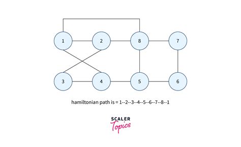 Hamiltonian Cycle - Scaler Blog