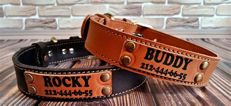 10 Best Personalized Dog Collars of 2024: 👉 Custom Dog and Puppy ...