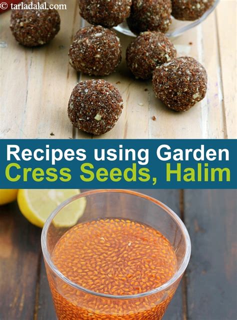 What Is Garden Cress Seeds Called In Hindi | Fasci Garden