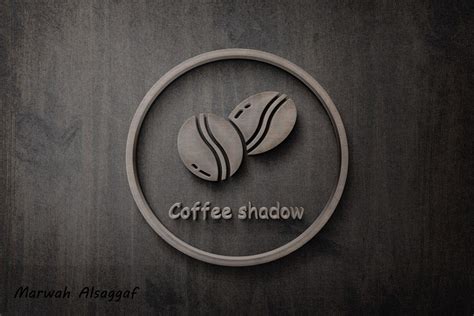 Shadow Logo Design