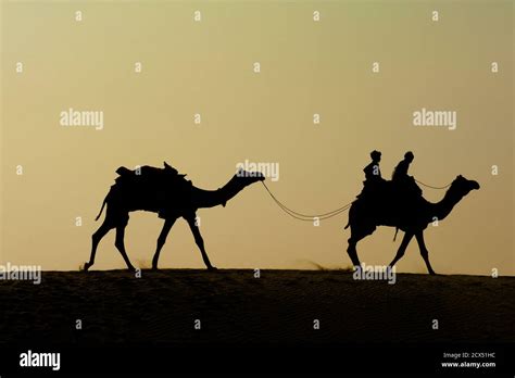 Camel riding in the Thar Desert at Sam, Rajasthan, India Stock Photo ...