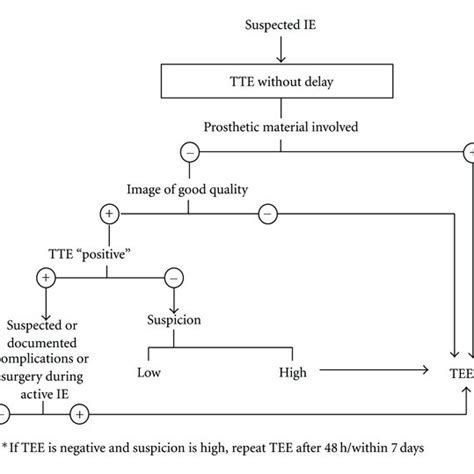 Algorithm for the use of transthoracic (TTE) and transesophageal ...