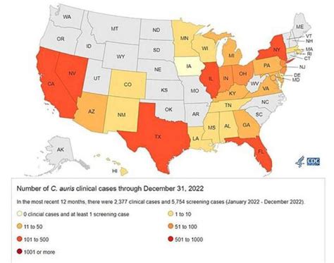 Map shows scary spread of deadly fungal disease across US as one in ...