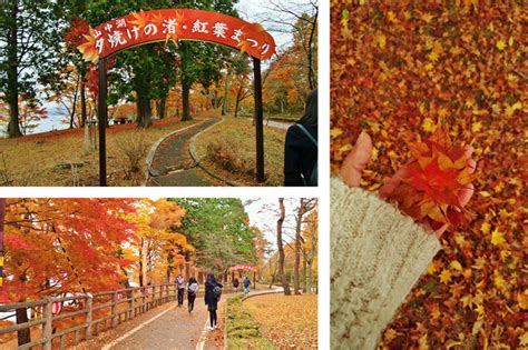 Fuji Five Lakes in Autumn: Stunning Colors of Japan’s Foliage (Part 1 ...