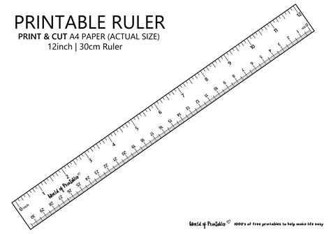 Accurate Mm Ruler Clearance | cityofclovis.org