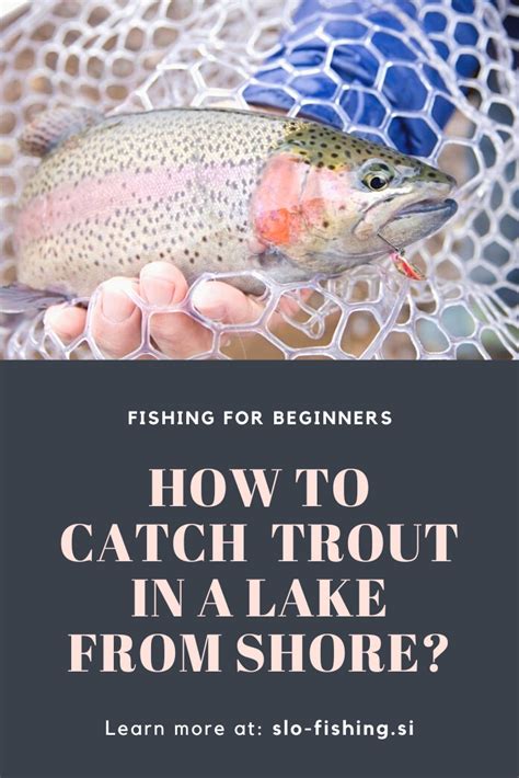 Trout Fishing Tips: How to Catch Big Trout in a Lake from Shore? [Best ...