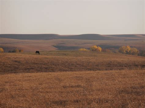 Kansas Prairie | Get Outdoors Kansas