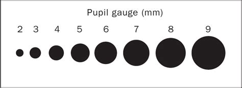 Pupil Gauge Chart