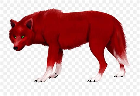 Red Fox Red Wolf Gray Wolf Fur Snout, PNG, 900x617px, Red Fox ...