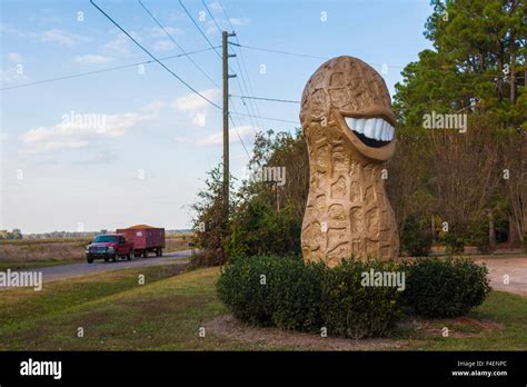 Georgia, Plains, the Big Peanut, Plains is in Georgia Peanut-growing ...