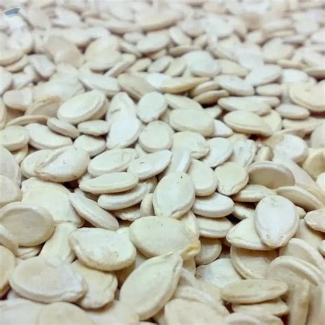 Melon Seeds by Foshan Mafrika Stock And Supplies. Supplier from South ...