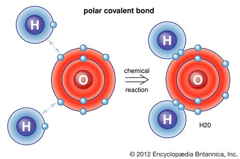 POLAR COVALENT BONDS on emaze