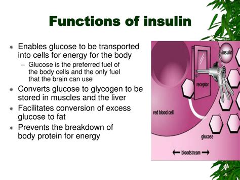 PPT - Pathophysiology of Diabetes PowerPoint Presentation, free ...