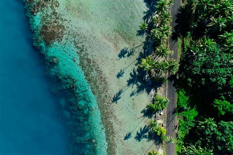 Hiking in Moorea: Most Beautiful Panoramas