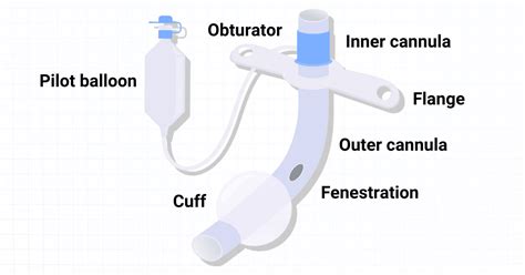 Tracheostomy Tubes: Types, Indications, and Risks (2024)