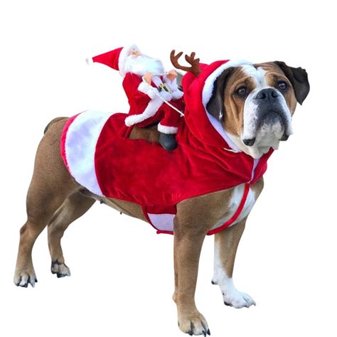 Christmas Dog Costume – JOOPZY