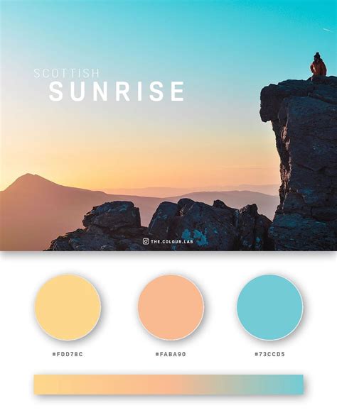 49 Beautiful Color Palettes For Your Next Design Project - The Schedio ...