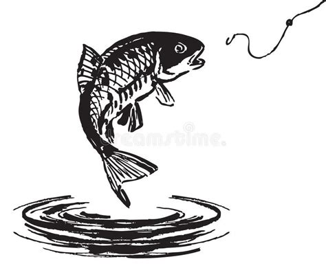 Fish Jumping Out of the Water Stock Vector - Illustration of forties ...