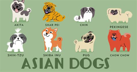 Dogs Of The World: Cute Posters Show The Origins Of 200+ Dog Breeds ...