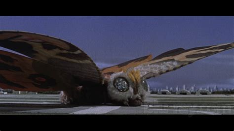 Mothra (1961) - Film Review - Maze of Media