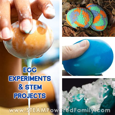 Genius Egg Experiments and STEM Projects For All Young Scientists