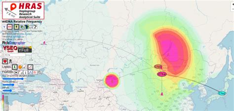 Three mtDNA Haplogroup C1 Subclades in the Americas May Descend From a ...