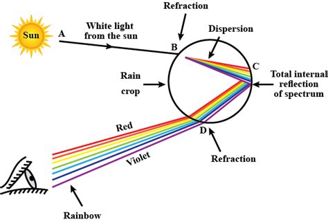 What is meant by dispersion of white light? Describe the formation of ...