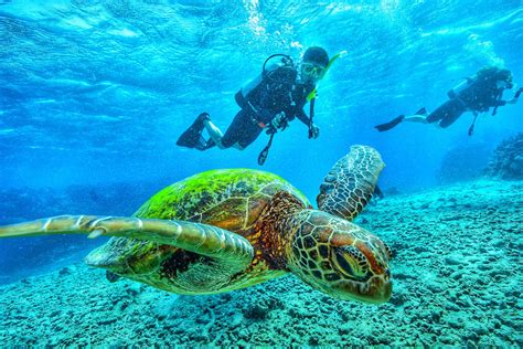 The 9 Best Dive Sites in the Galapagos