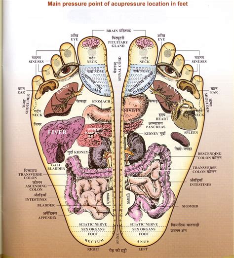 Acupressure points in feet | Acupressure points, Acupressure ...