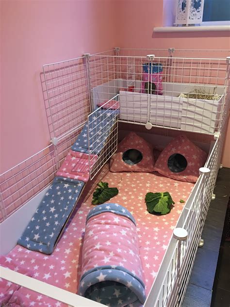 Fleece C&C Guinea Pig Cage Set Up