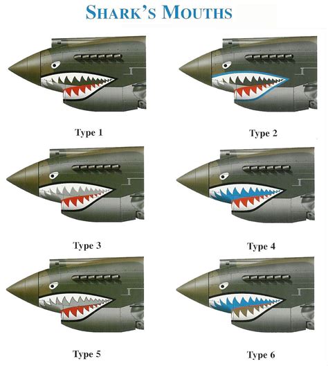 Ww2 Nose Art Shark Decal | Images and Photos finder