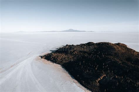 Drone Aerial Photo of Cactus Island Bolivia Salar De Uyuni Salt Flats ...