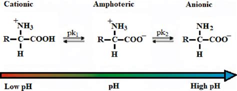 Amphoteric surfactant charge dependence on solution pH. | Download ...