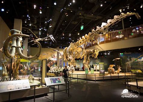 9 Things I Wish I Knew BEFORE Visiting the Perot Museum