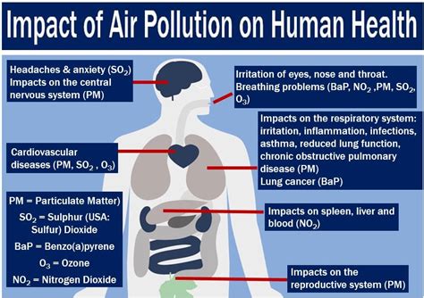 Nitrogen dioxide as damaging as partner death or job loss - Market ...